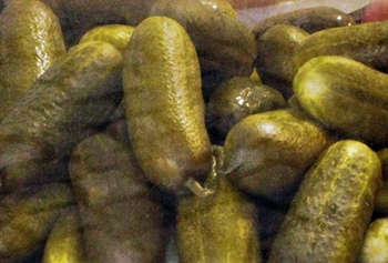 The heart of Central Europe_800