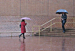 It's raining again_240