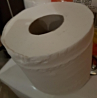 loo roll